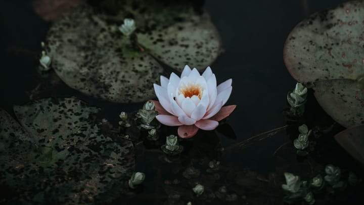 Balancing Many Hats While Finding Time to Be Yourself